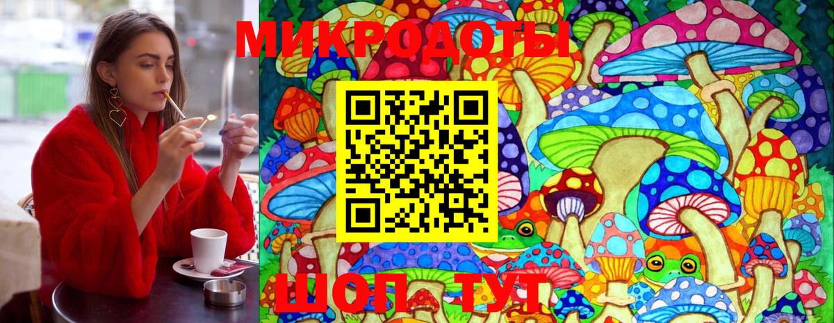 Псилоцибиновые грибы Psilocybe Заводоуковск
