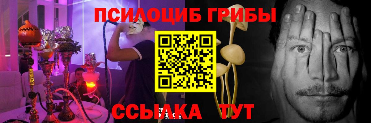 Псилоцибиновые грибы Psilocybine cubensis  Вход с VPN  Галлюциногенные грибы Psilocybe  Заводоуковск 